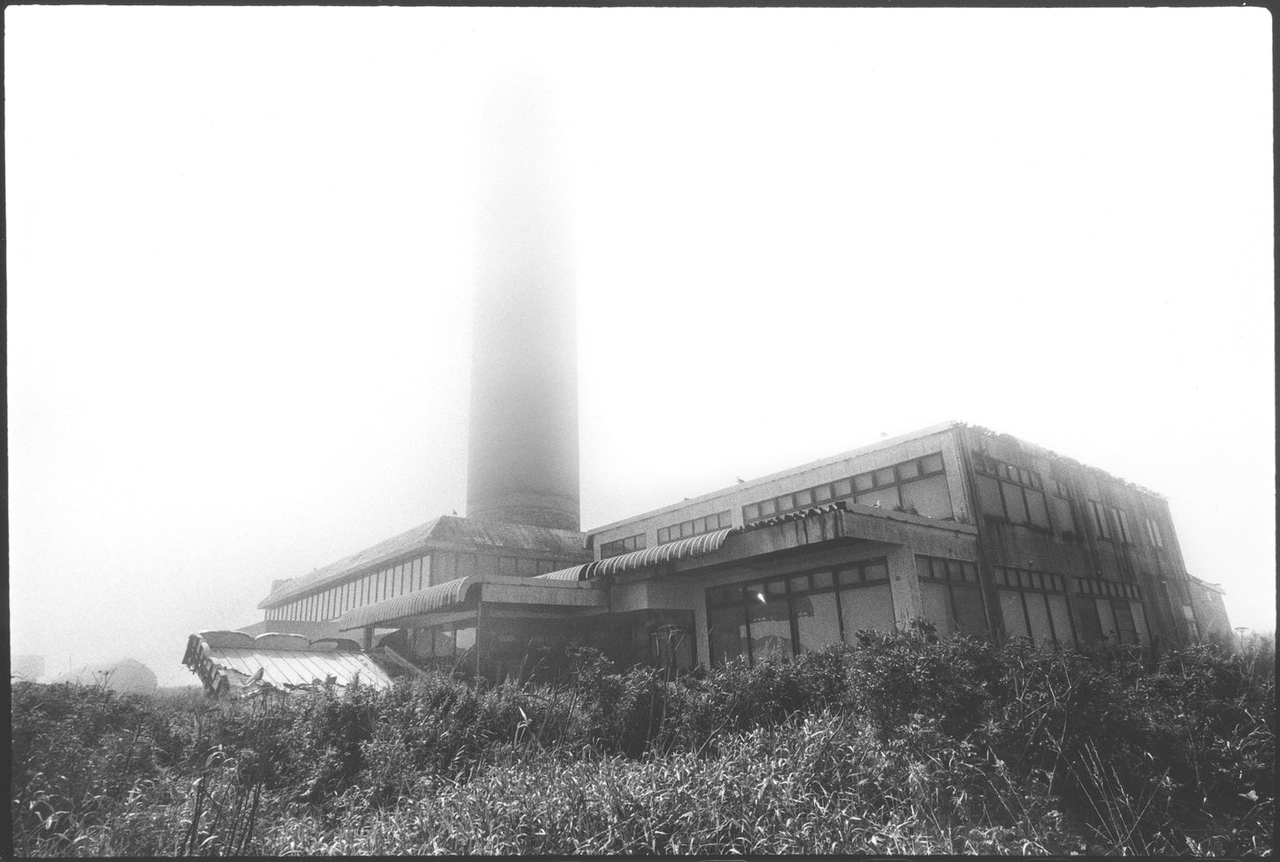 FAR EAST BABEL - Darkroom Print