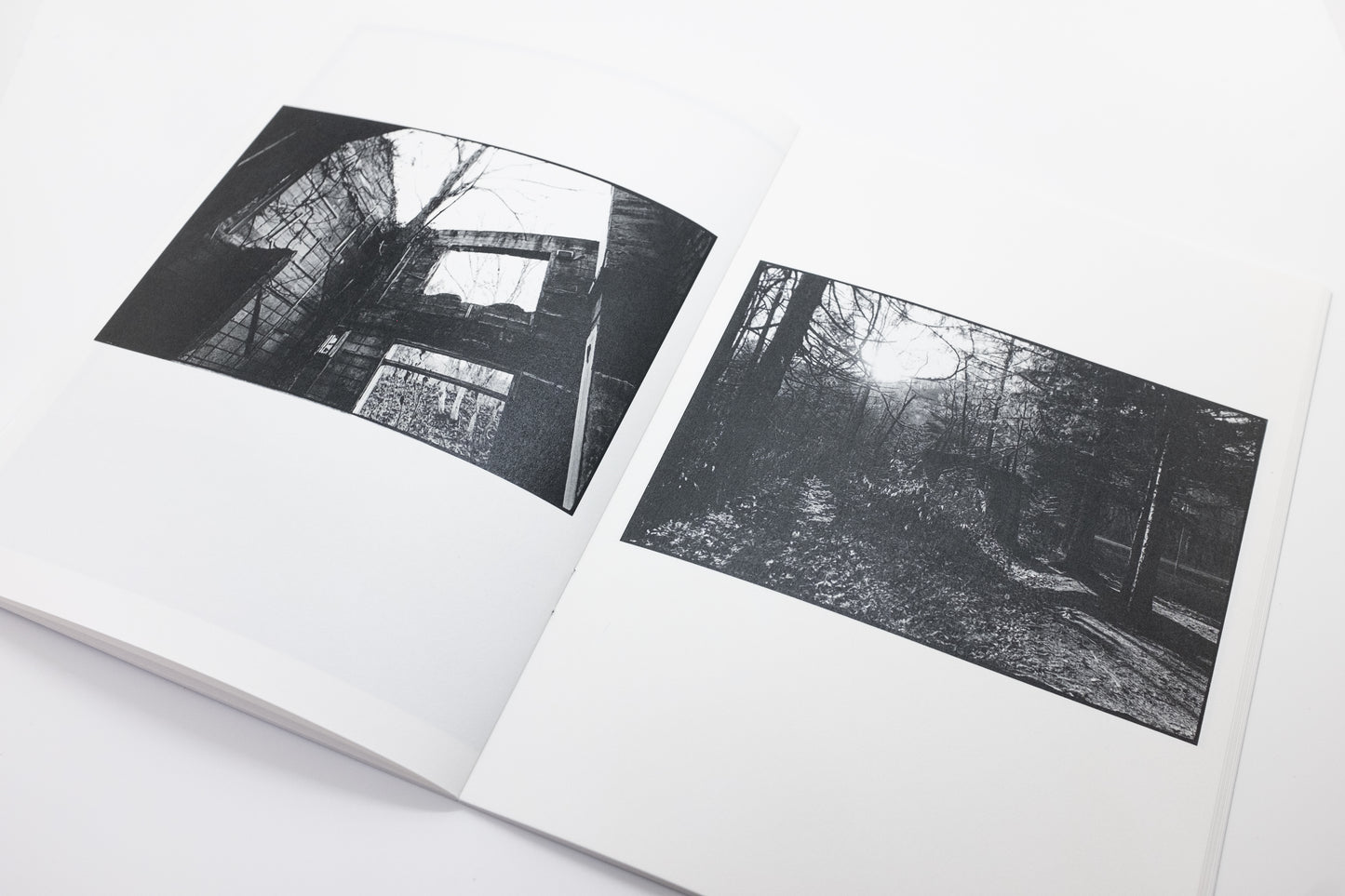 Hokkaido 43°23'07"N, 145°49'03"E