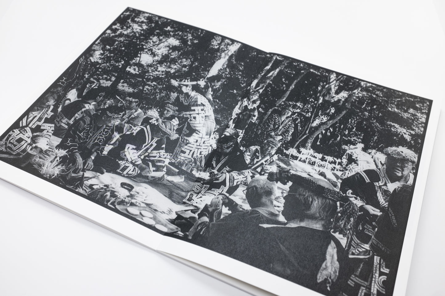 Hokkaido 43°23'07"N, 145°49'03"E