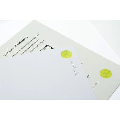 Unbuckle (Limited Edition)