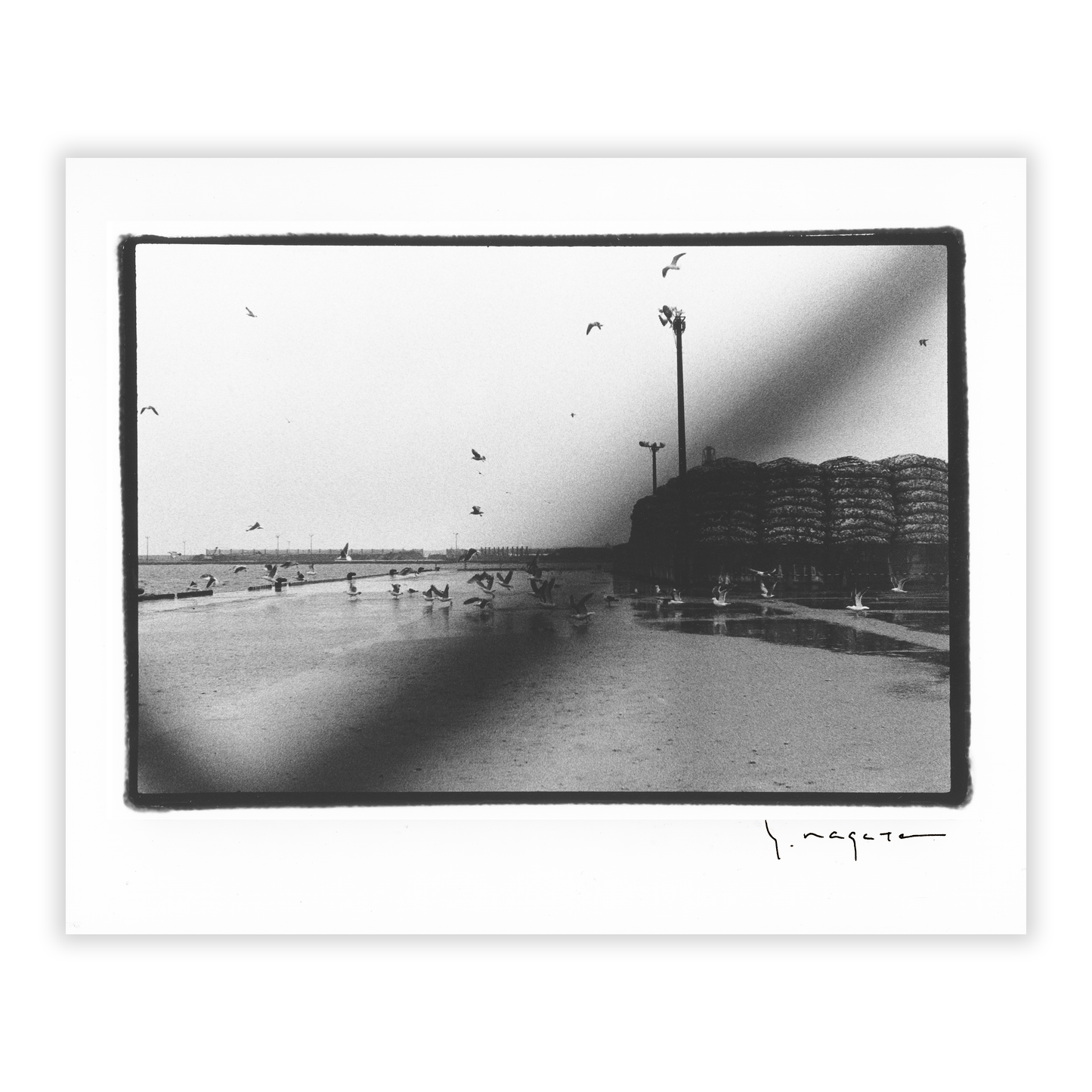 A Place with Scallops - Darkroom Print