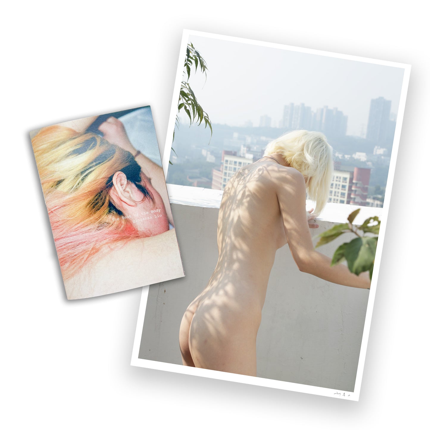 The Heat of the Body - Qingshan Liu