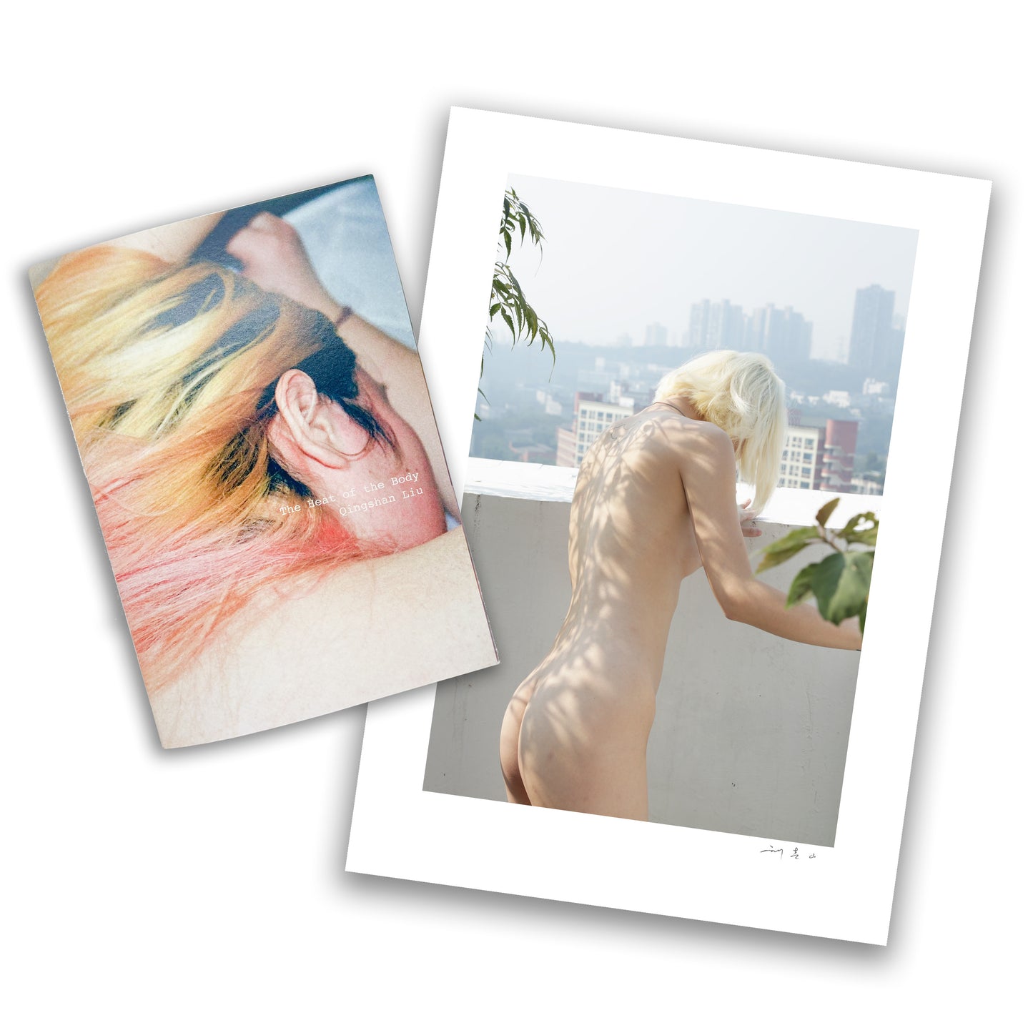 The Heat of the Body - Qingshan Liu