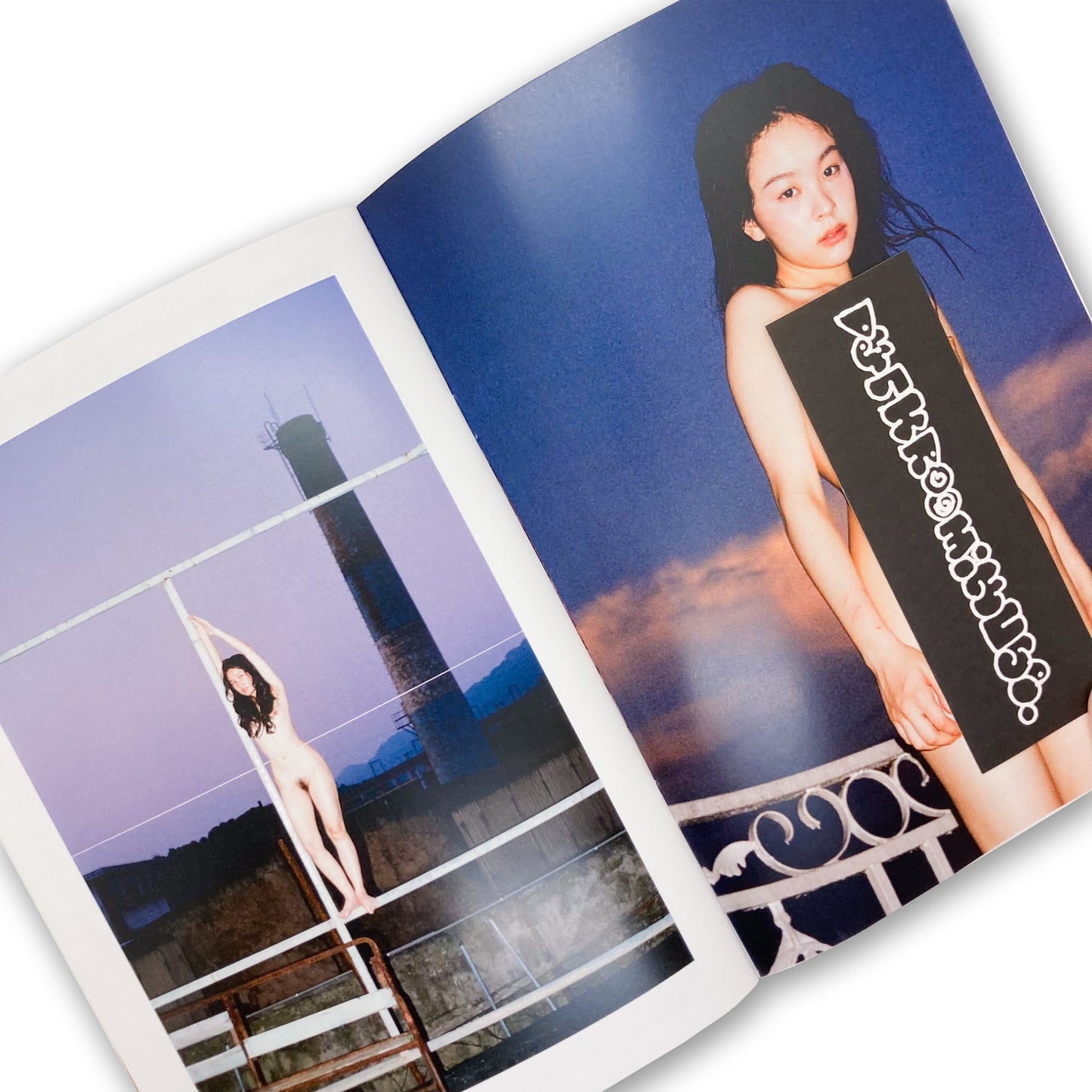 The Heat of the Body - Qingshan Liu