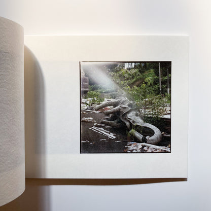 Entropy - Haruki Tarumi