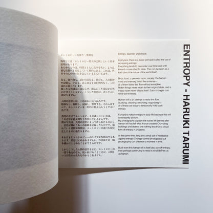 Entropy - Haruki Tarumi